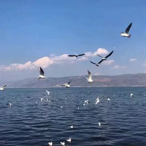 日本十八禁网址
