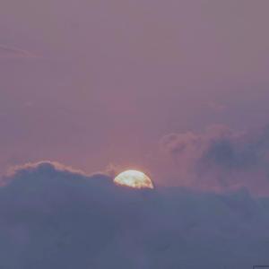 日本十八禁网址
